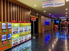 -华谊兄弟影院(北京洋桥店)