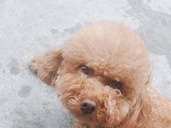 -纳吉亚猫专科动物医院(康都外科中心)