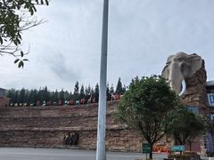 -贵州森林野生动物园