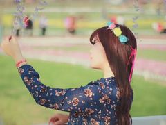 -荷兰花海