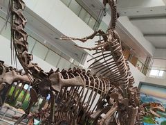 -中国地质大学逸夫博物馆