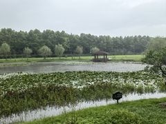 -宜兴龙背山森林公园