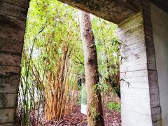 -鹿野苑石刻艺术博物馆