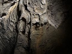 -怀托摩萤火虫洞