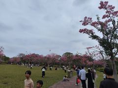 -风云岭森林公园