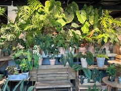 -自由生长植物工作室(深港花卉中心店)