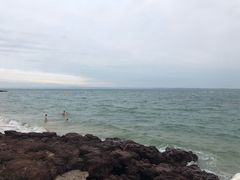 -企鹅岛