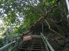 -四会奇石河风景区