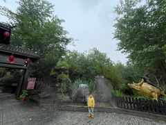 -合肥滨湖国家森林公园