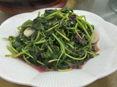 -沪依小酒馆心意菜