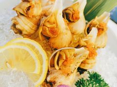 北海道芥味螺肉-千寻山野烤肉(中关村店)