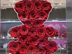 -ROSEONLY诺誓(青岛万象城店)