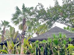 -广州从化都喜泰丽度假酒店温泉