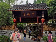 -青城甲(青城山店)