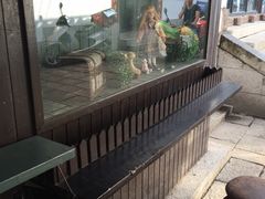 -猫的魔法密林(衣裳街店)