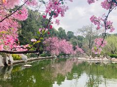 -昆明动物园