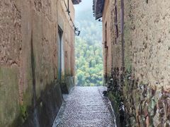 -杨家堂村