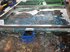 -盒马鲜生(大成店)
