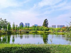 -眉山湿地公园(东坡区)
