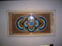 -上海昆虫博物馆