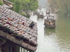 -乌镇东栅景区