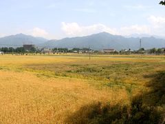-洨河生态公园