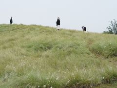 -白鹭湾湿地公园