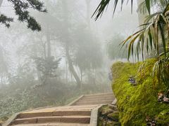 -青城山