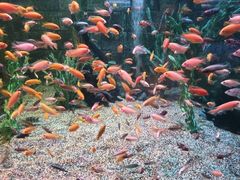 -正佳极地海洋世界
