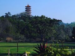 -深圳仙湖植物园