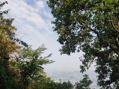 -紫金山山顶公园