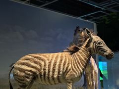 -香港科学馆