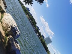 -大兴滨河森林公园