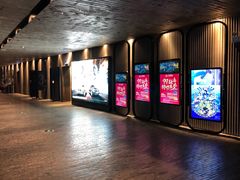 放映厅-万达影城(银兴菲林店)