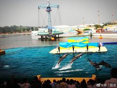 -秦皇岛乐岛海洋王国