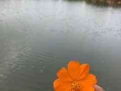 -东水关遗址公园