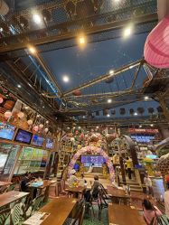 -卡通尼·Safari非洲探索乐园·生日会(金桥国际商业广场店)