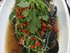 广式清蒸石斑鱼-顺记海鲜(努沙杜瓦2分店)