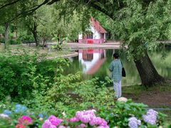 -上海共青森林公园