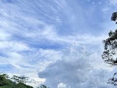 -广州市白云山风景名胜区