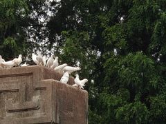 -音乐台