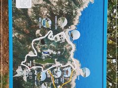 -广东惠东海龟国家级自然保护区