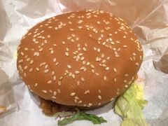 麦辣鸡腿汉-麦当劳(龙阳路店)