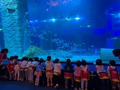 -全优加早教·托育(金沙御苑校区)