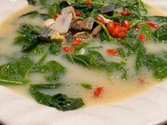 上汤桑叶-金苑酒家·客家菜·广东老字号(万象店)