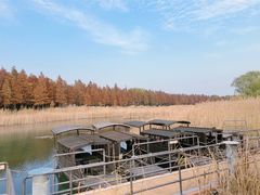 -苏州太湖湖滨国家湿地公园