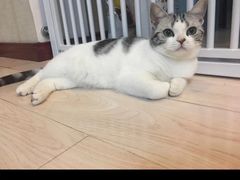 -德元·美联众合24小时动物医院(总院)