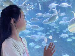 -烟台海昌鲸鲨海洋公园