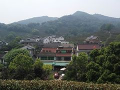 -龙井村