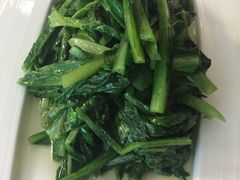 油麦菜-楼兰印象(朝外店)
